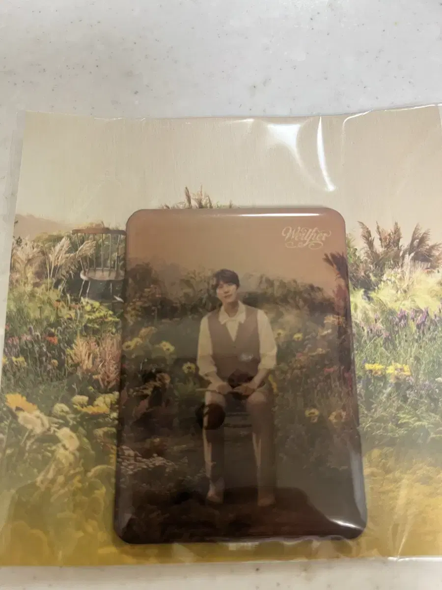 Super Juniors kyuhyun Werther Goods WTS