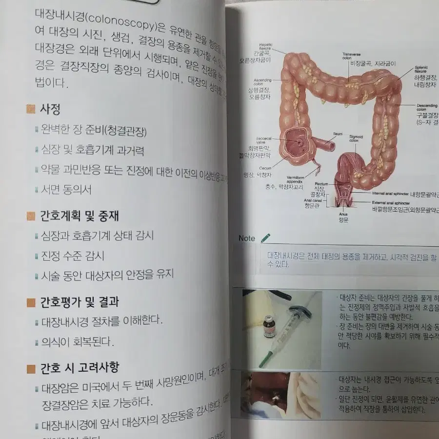 포널스 임상메뉴얼