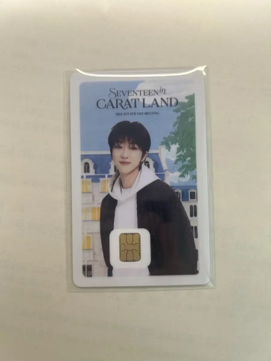 svt seventeen namanekard karatland