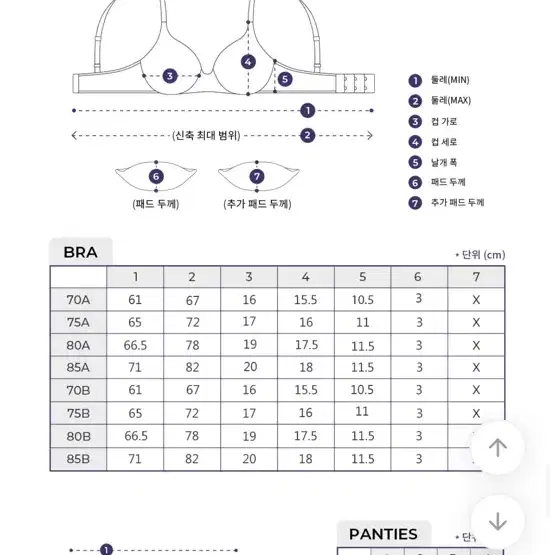 [새상품] 도로시와 몰랑드 라이트 노와이어 볼륨브라 세트 3cm 뽕브라