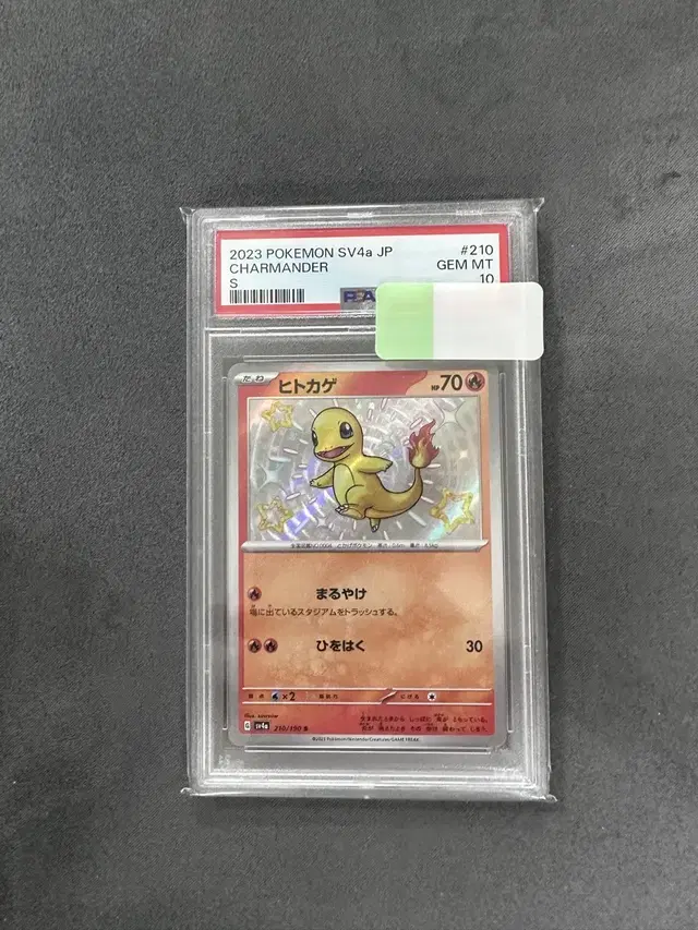 포켓몬카드 이로치 파이리 PSA10