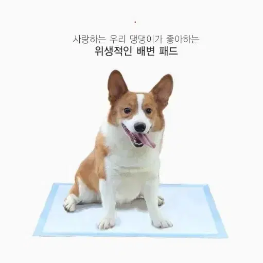 애견패드 블루 애견 배변패드 위생 안심 강아지패드 사이즈 글 꼭봐주세요