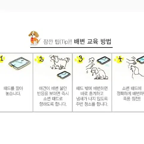 애견패드 블루 애견 배변패드 위생 안심 강아지패드 사이즈 글 꼭봐주세요