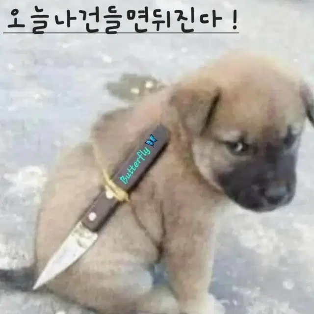 겔럭시 폴드4 부품용 삽니다~ 침수도 사요