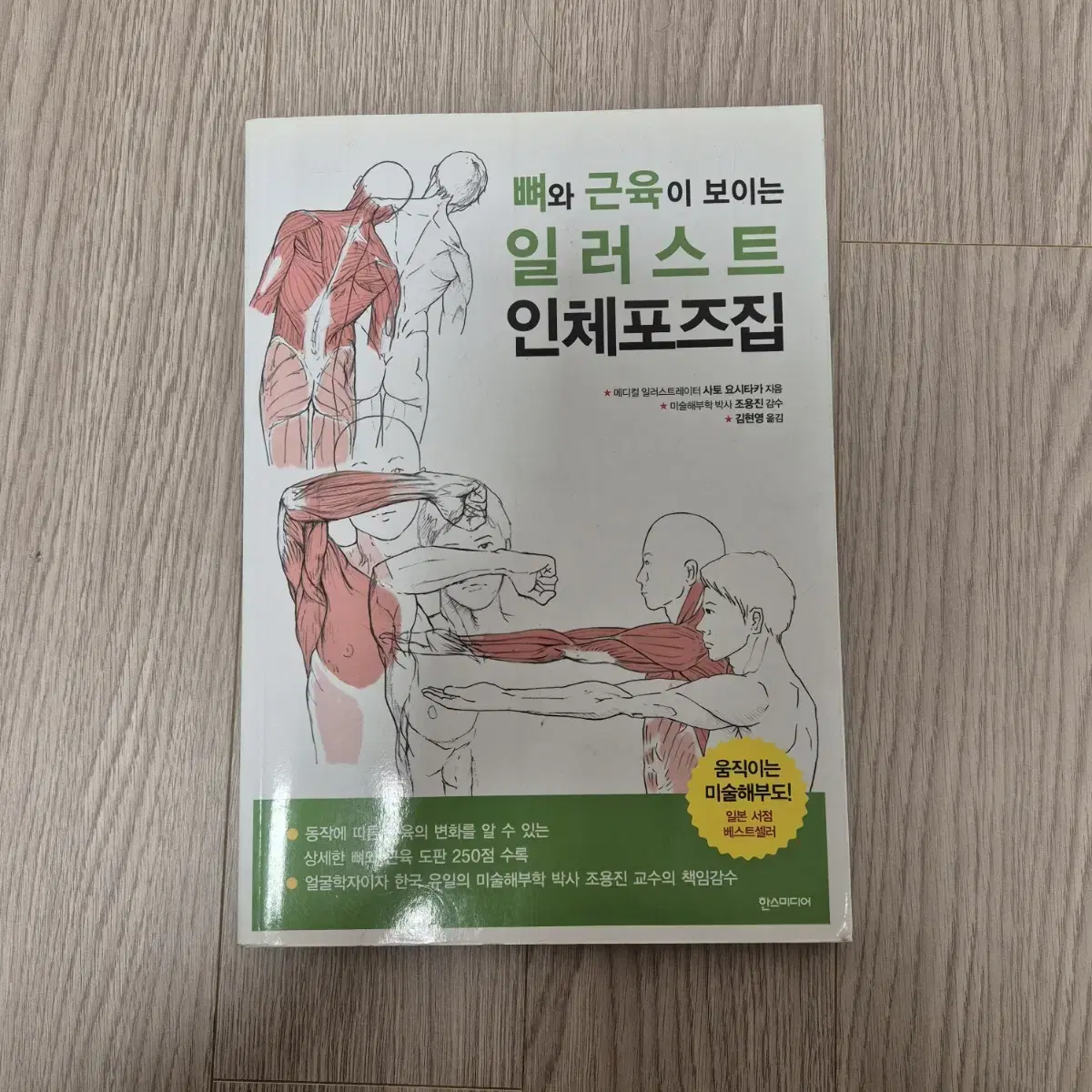 뼈와 근육이 보이는 일러스트 인체포즈집