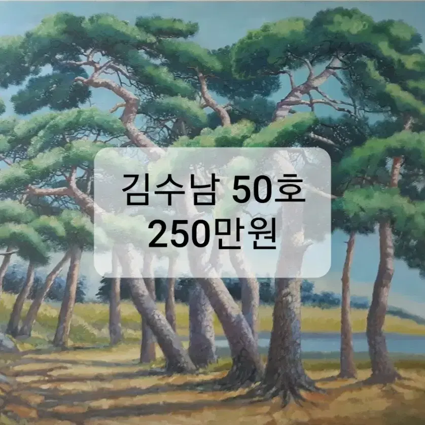 김수남 화백-소나무(50호)/보증서