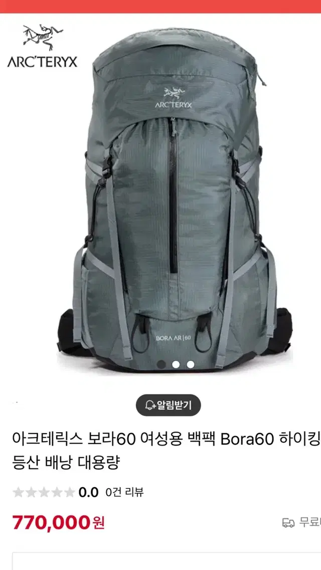 아크테릭스 보라60L