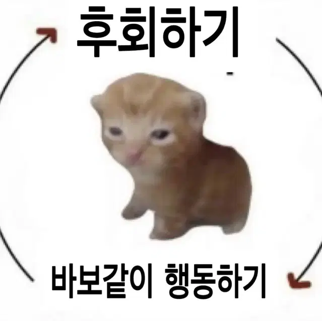 2025 서바이벌 전국 모의고사 수학