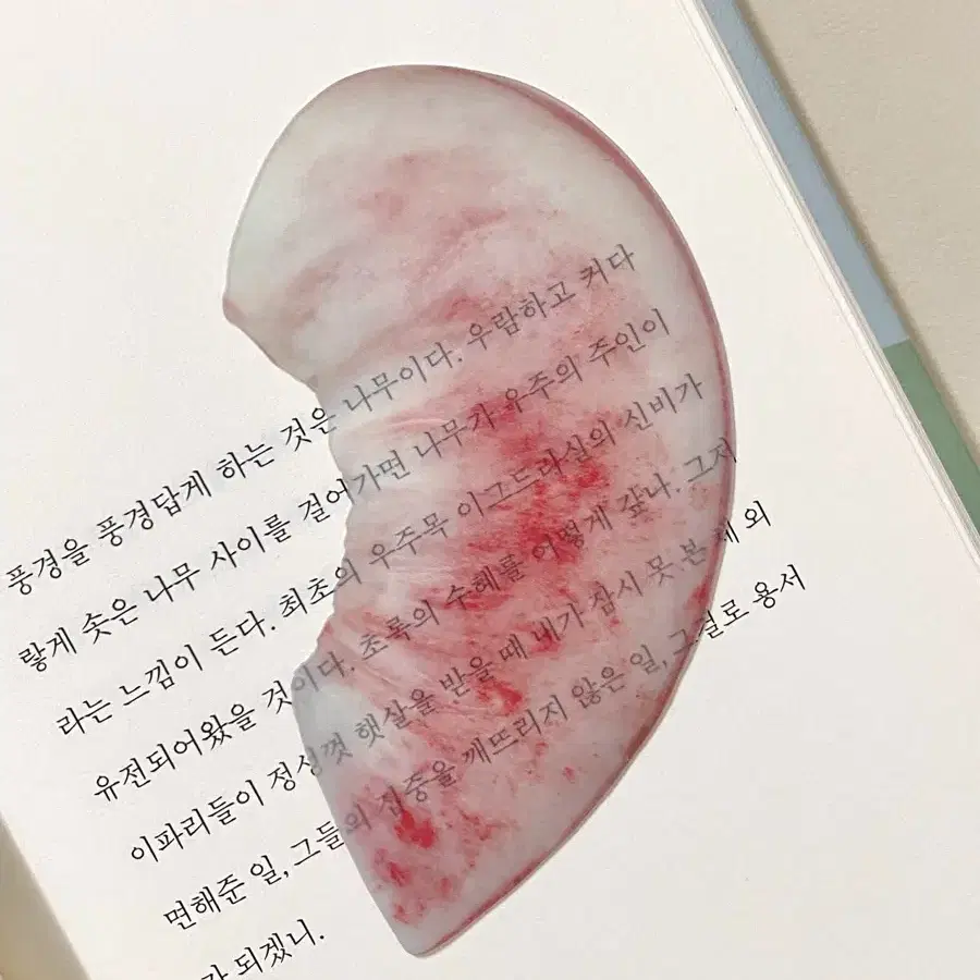 [구매글] 이옥토 작가님 백도, 사과 책갈피