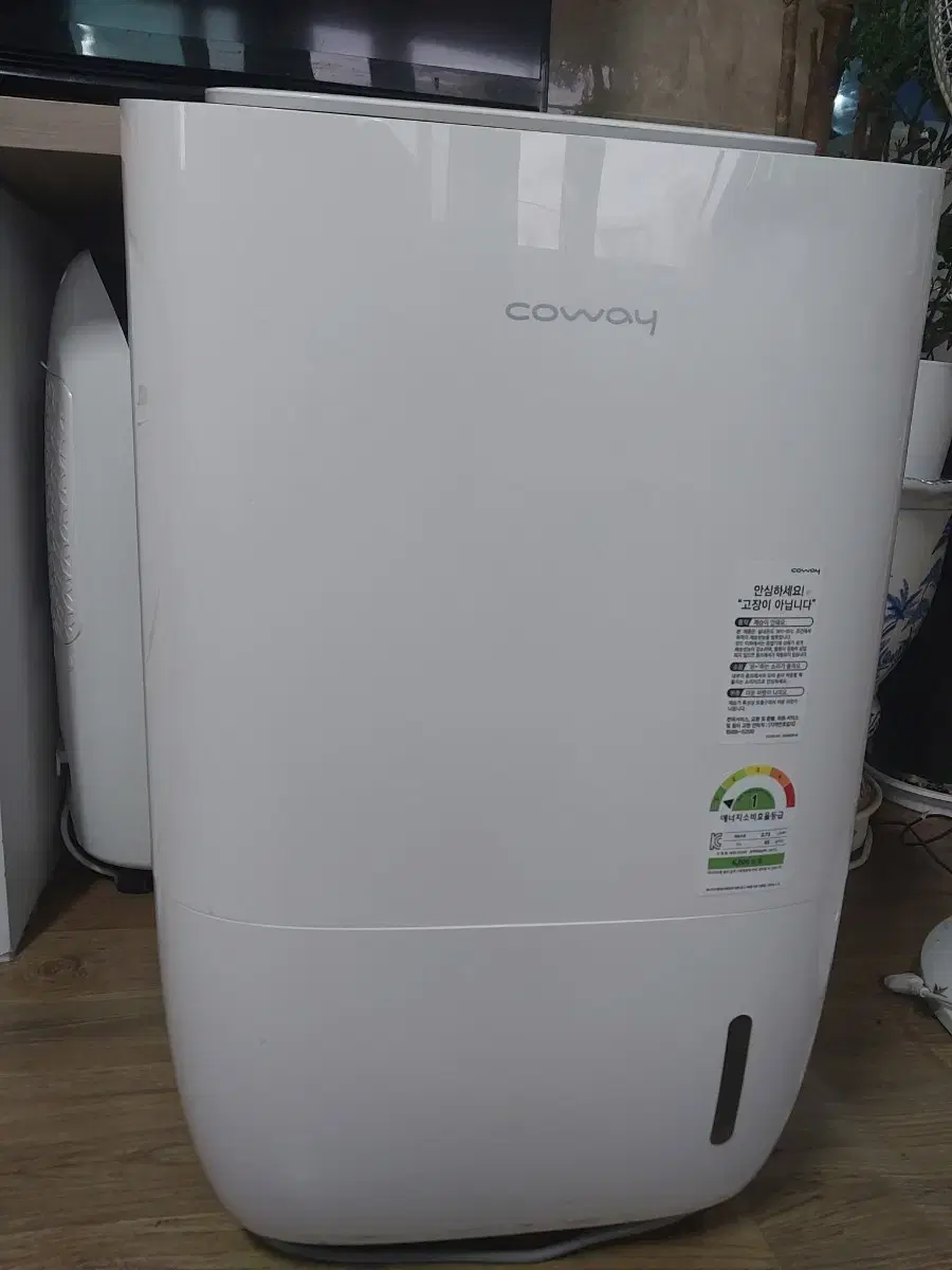 Coway Air Purifying Dehumidifier 14.5 Liters, top-of-the-line dehumidifier, new product consumer price 1.35 million won