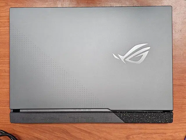 ASUS ROGSTRIX G713RW LL102 팝니다