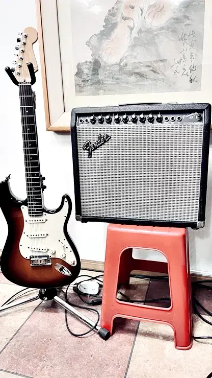 FENDER 2000DLUXE, fender princeton 65 앰프