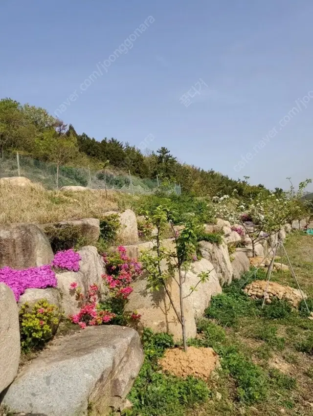 전라남도 여수시 소라면 섬달천 토지 / 귀농 귀촌 전원 주택