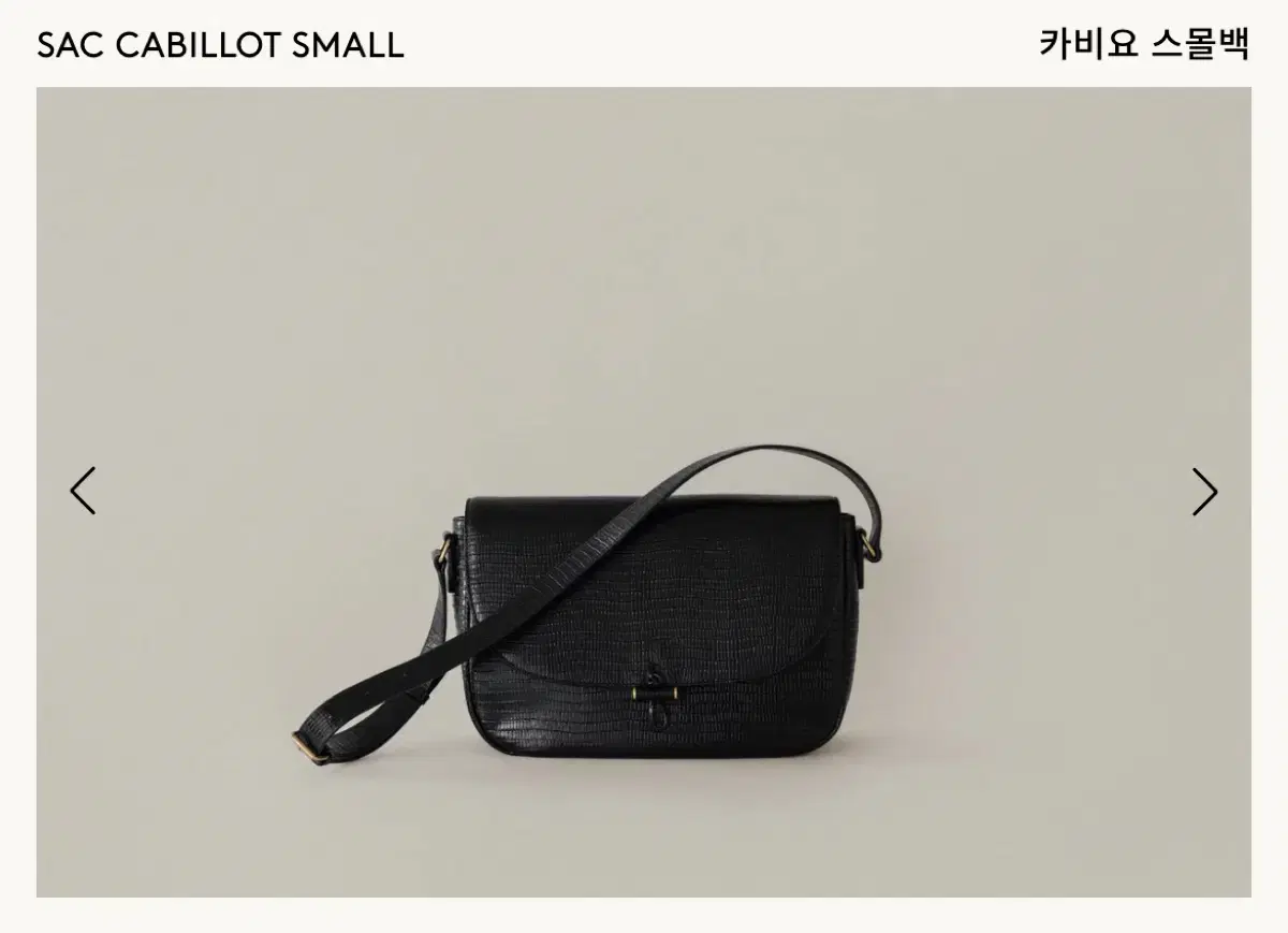 Toutier Cabrillo Small Lizard Black