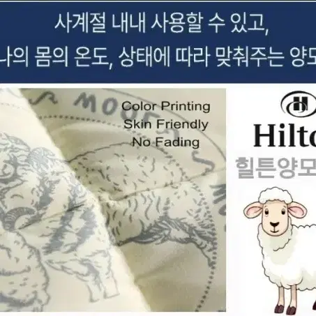 힐튼 호텔 양모이불