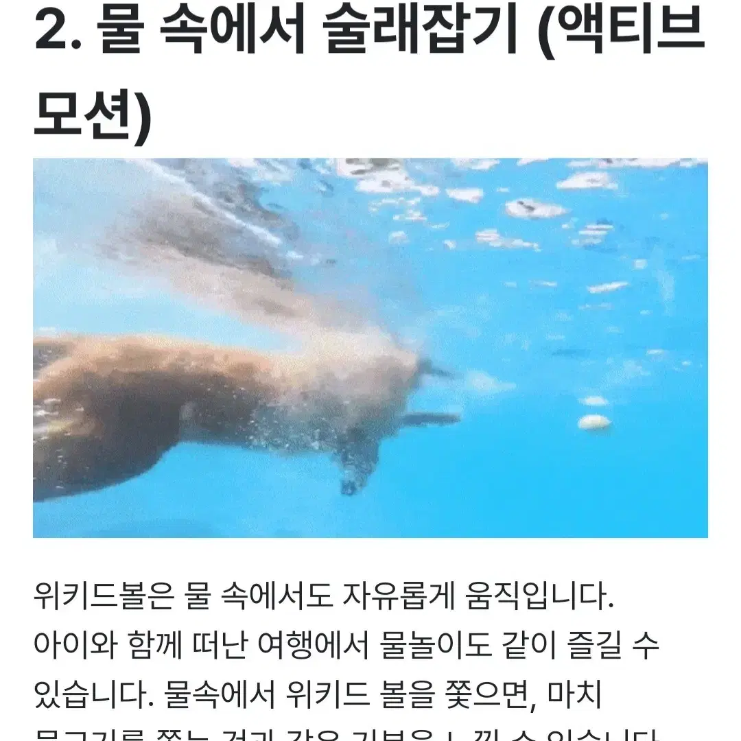 강아지장난감(엔바이탈위키드볼)*