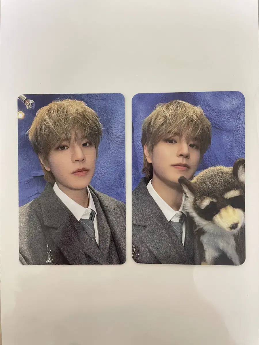 (sold in bulk) skz Stayzone Makon seungmin Photocard