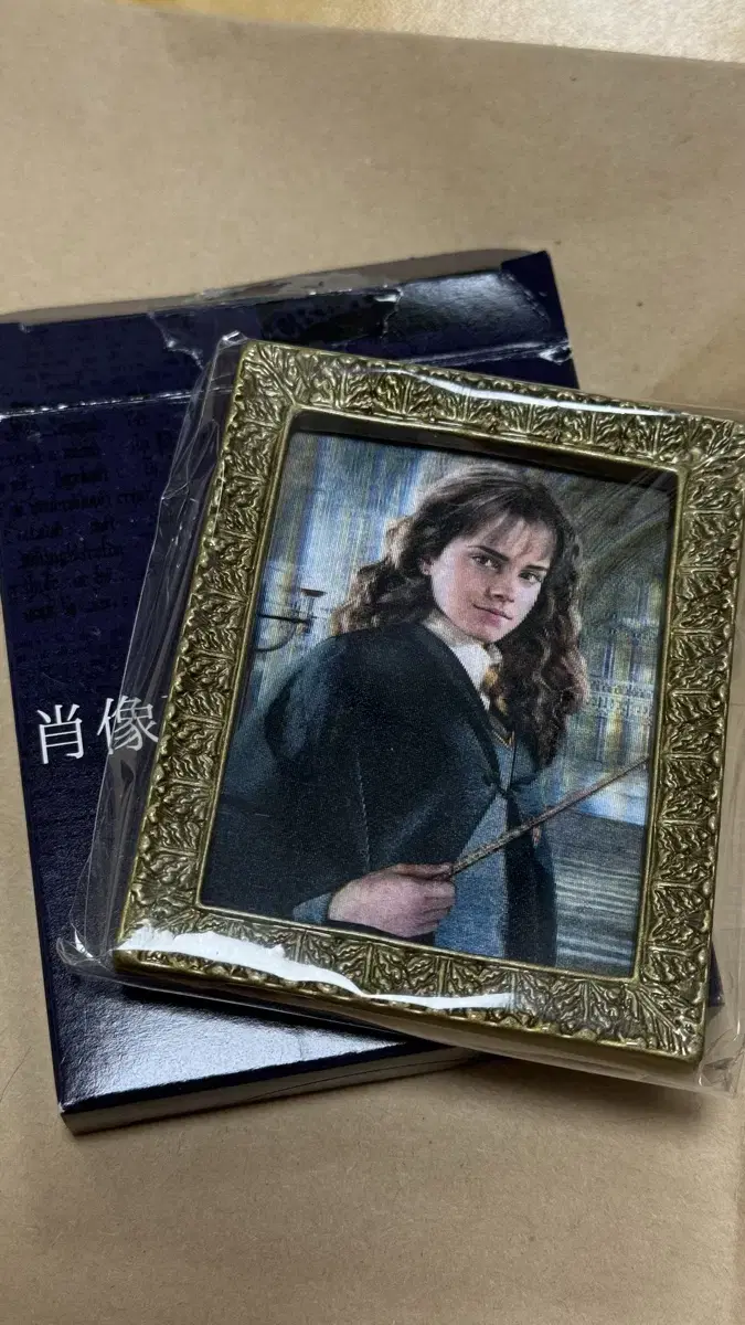 Harry Potter Magnet (Hermione)