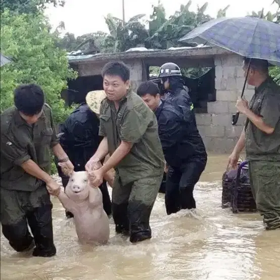 도스노벤타 도쿄 삽니다.