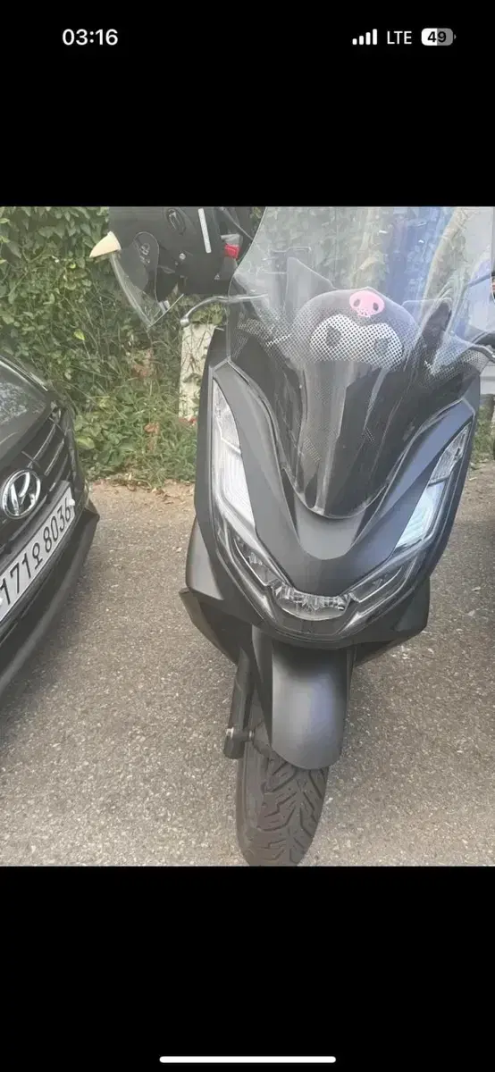 pcx125 23년식          NMAX 대차환영