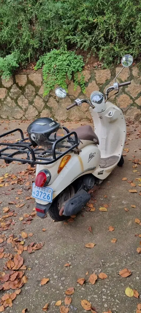 50cc 스쿠터