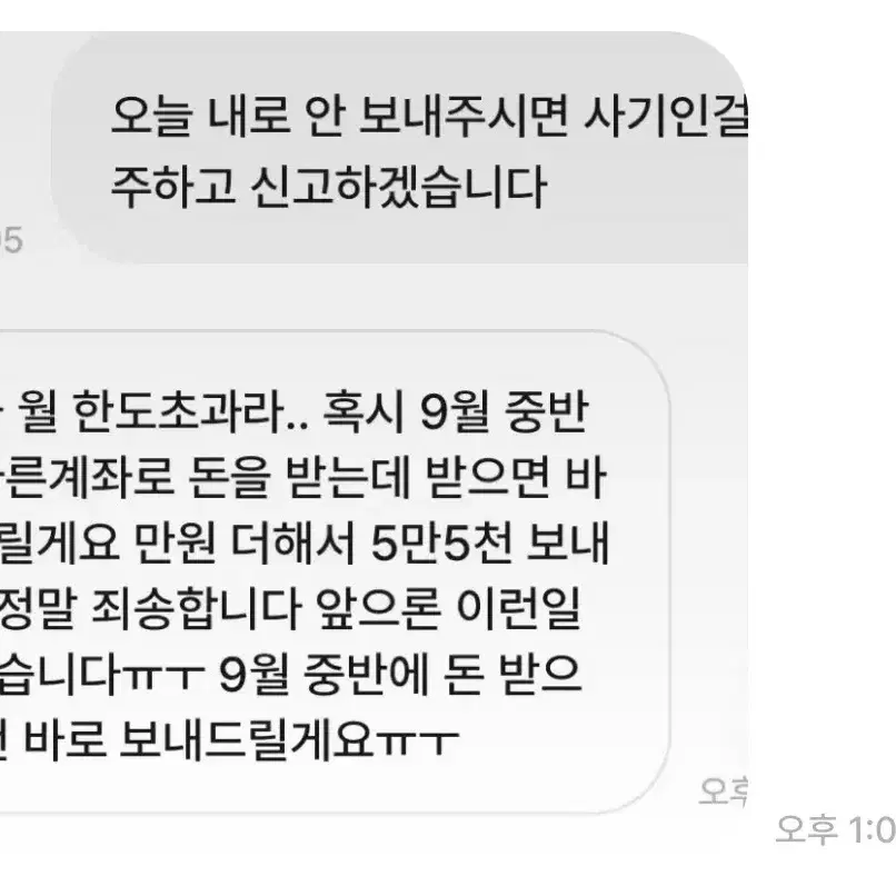 싸이코드 물품 사기범