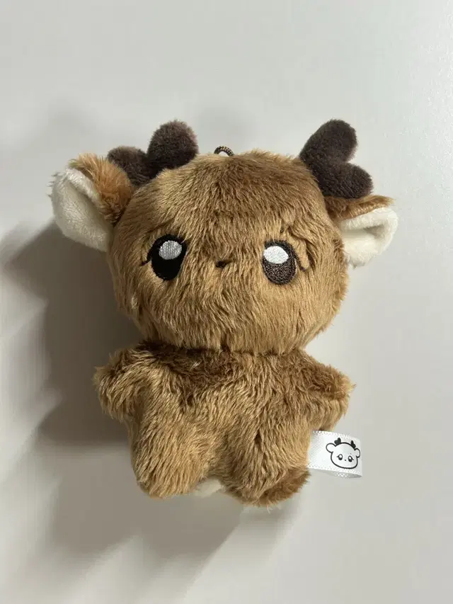 라이즈 성찬 인형 정밤비