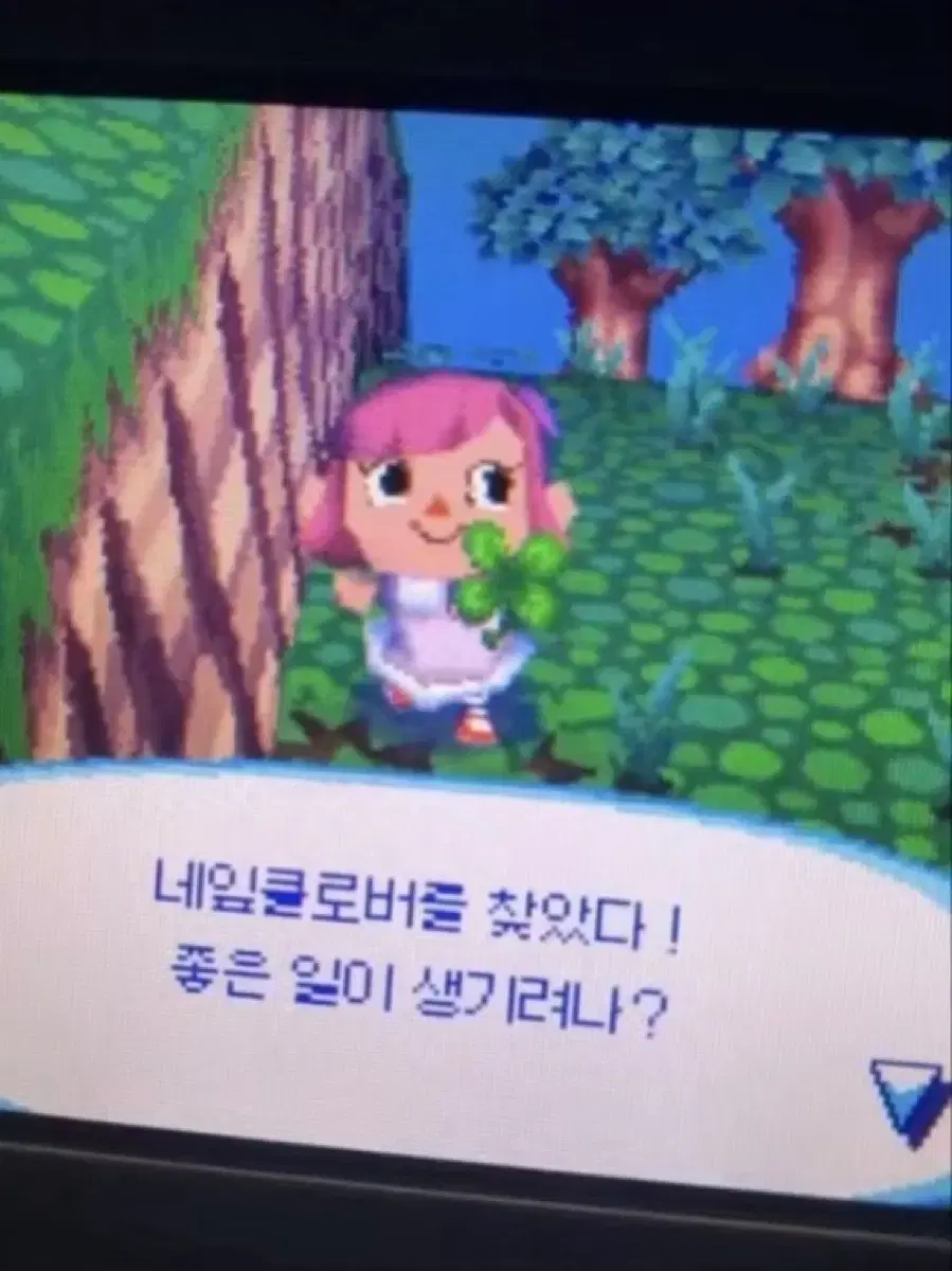 청춘블라썸 증명사진