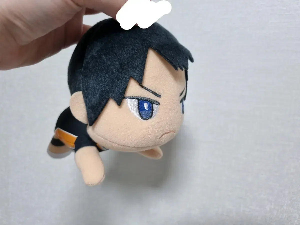 Vahn Presto Kageyama Flying Receive Nuigurumi