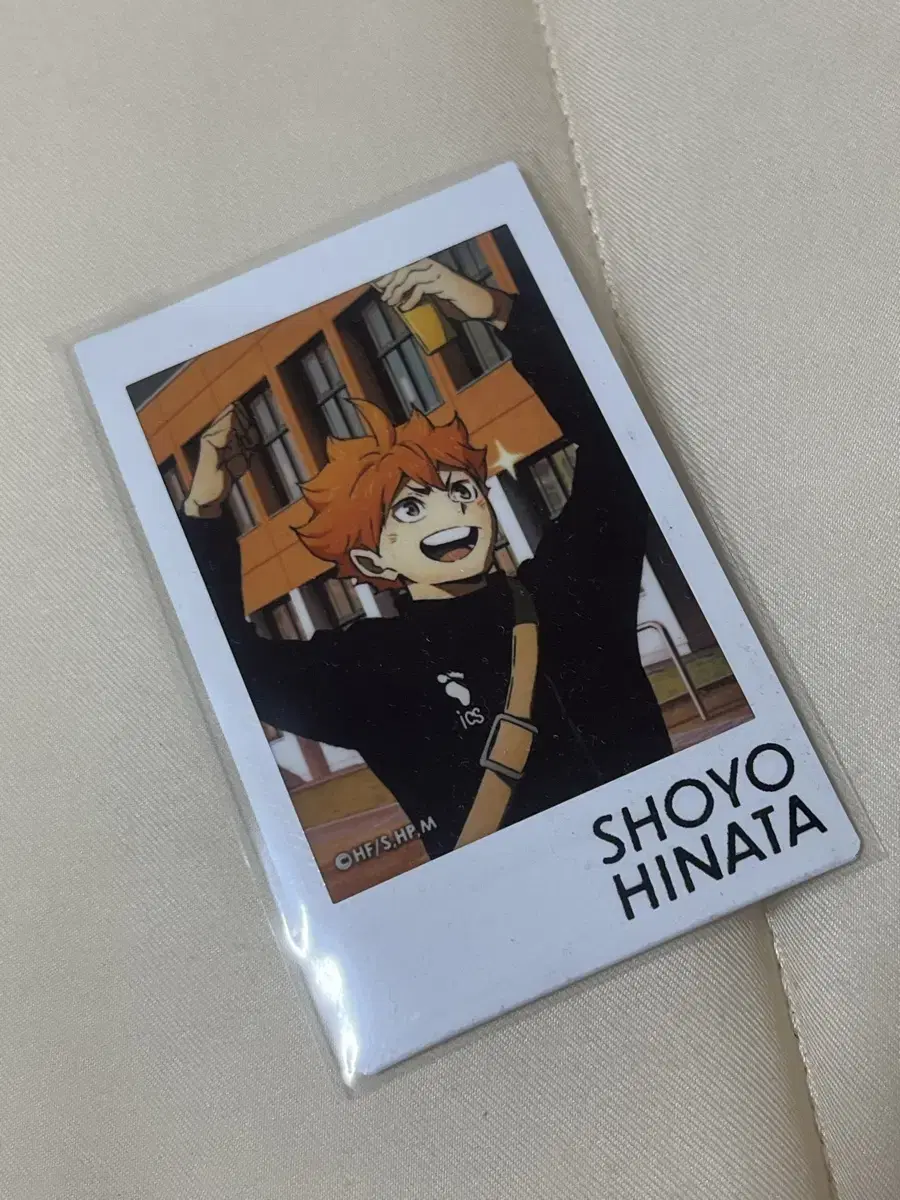 haikyuu hinata shoyo pashakore polaroid wts