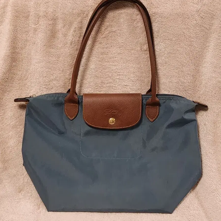 롱샴 미디움 vs 스몰 크기 비교 longchamp bag size