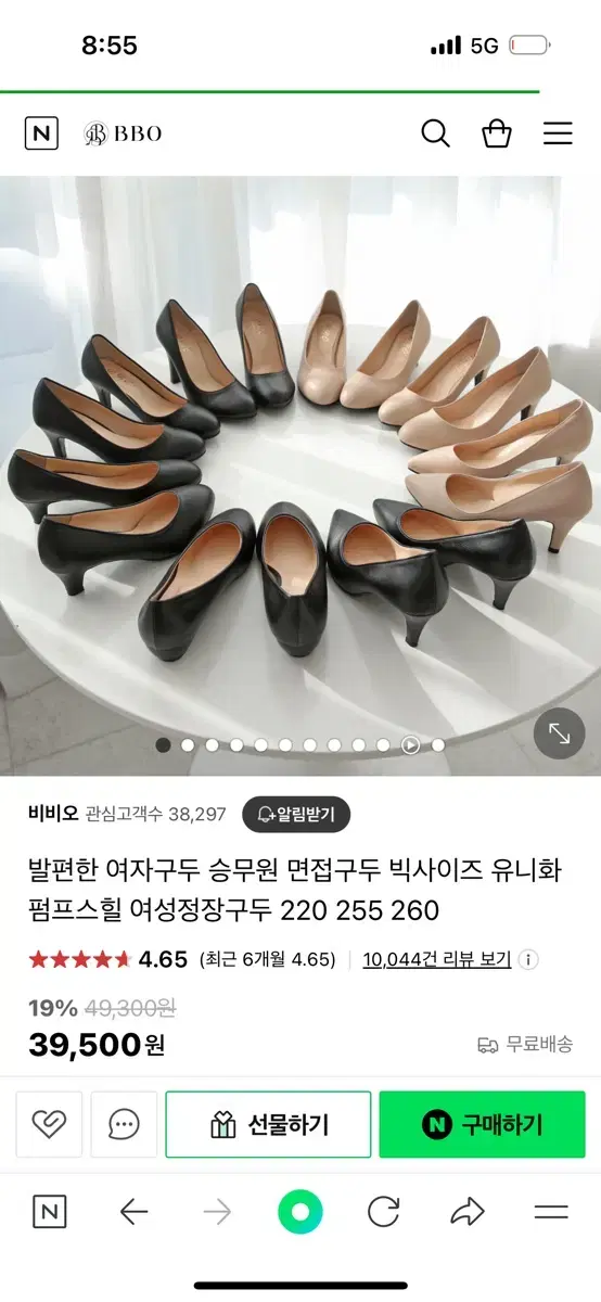 비비오 면접 구두