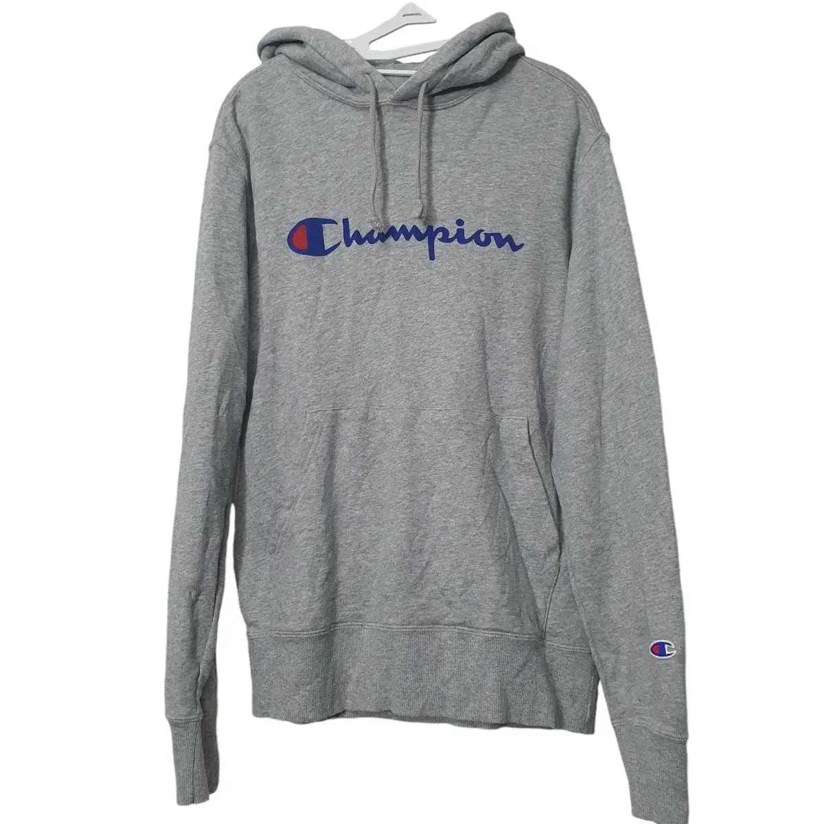 (L 100) Champion Hoodie Gray