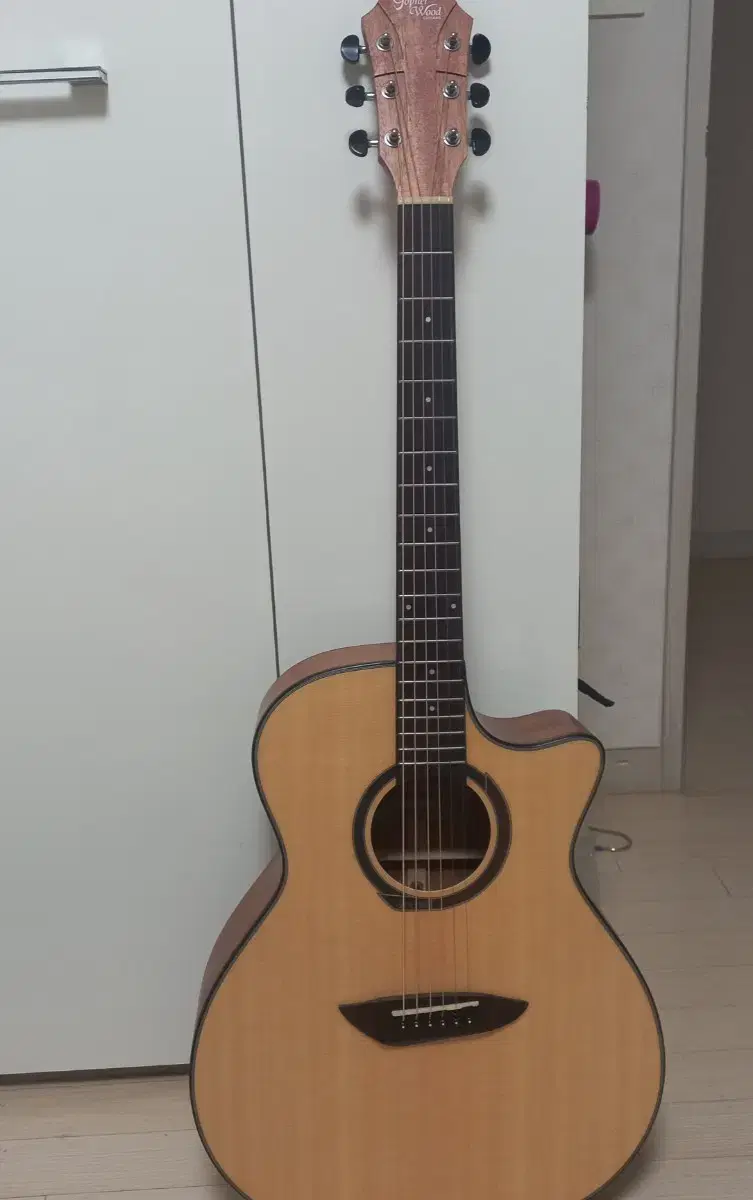 Gopherwood Acoustic G130cGuitar