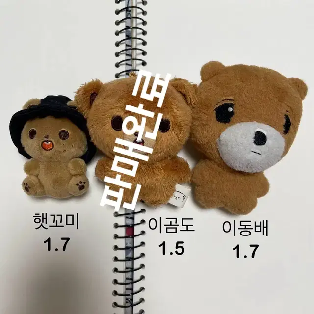 엔시티 해찬 인형 양도