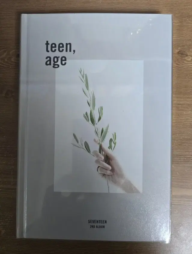 세븐틴 teen age 개봉앨범 양도