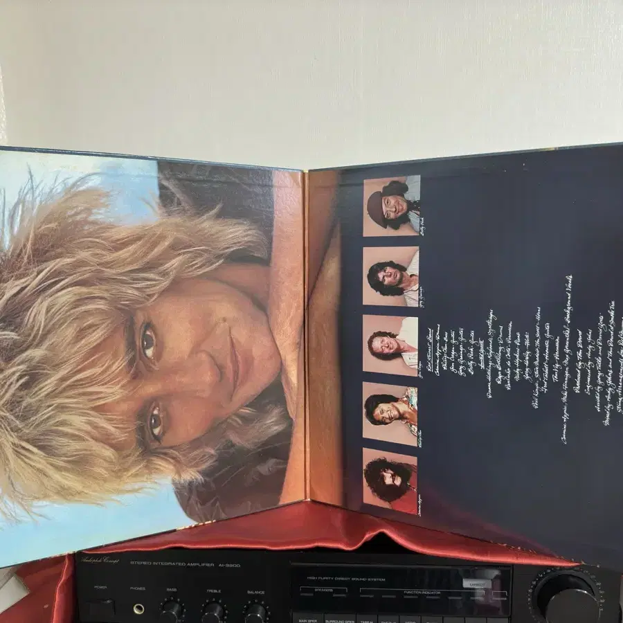 (민트급 알판)Rod Stewart(9집) LP