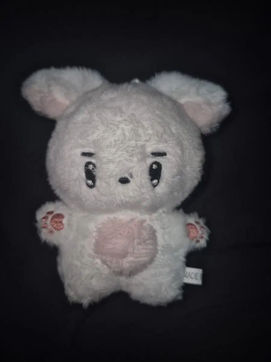 Younghoon Doll