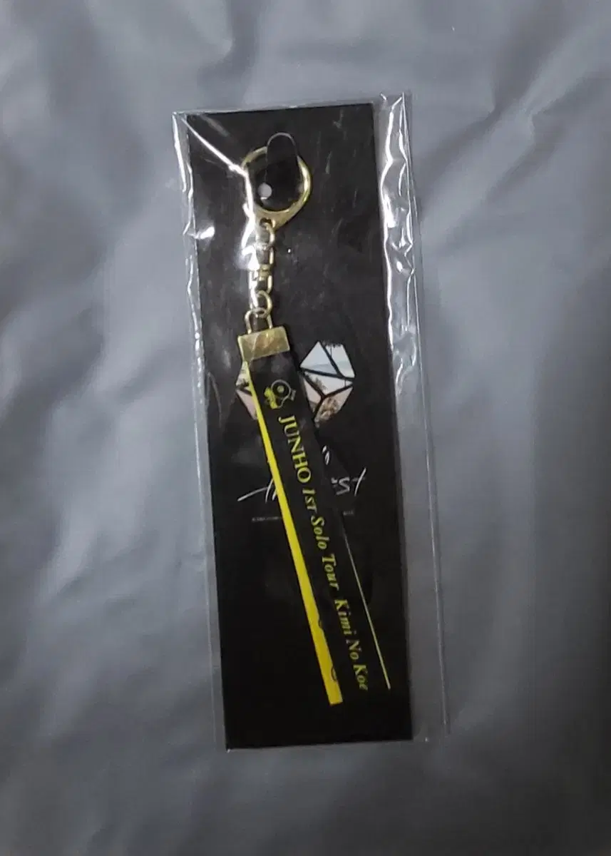 2PM junho lee junho junderbee keyring