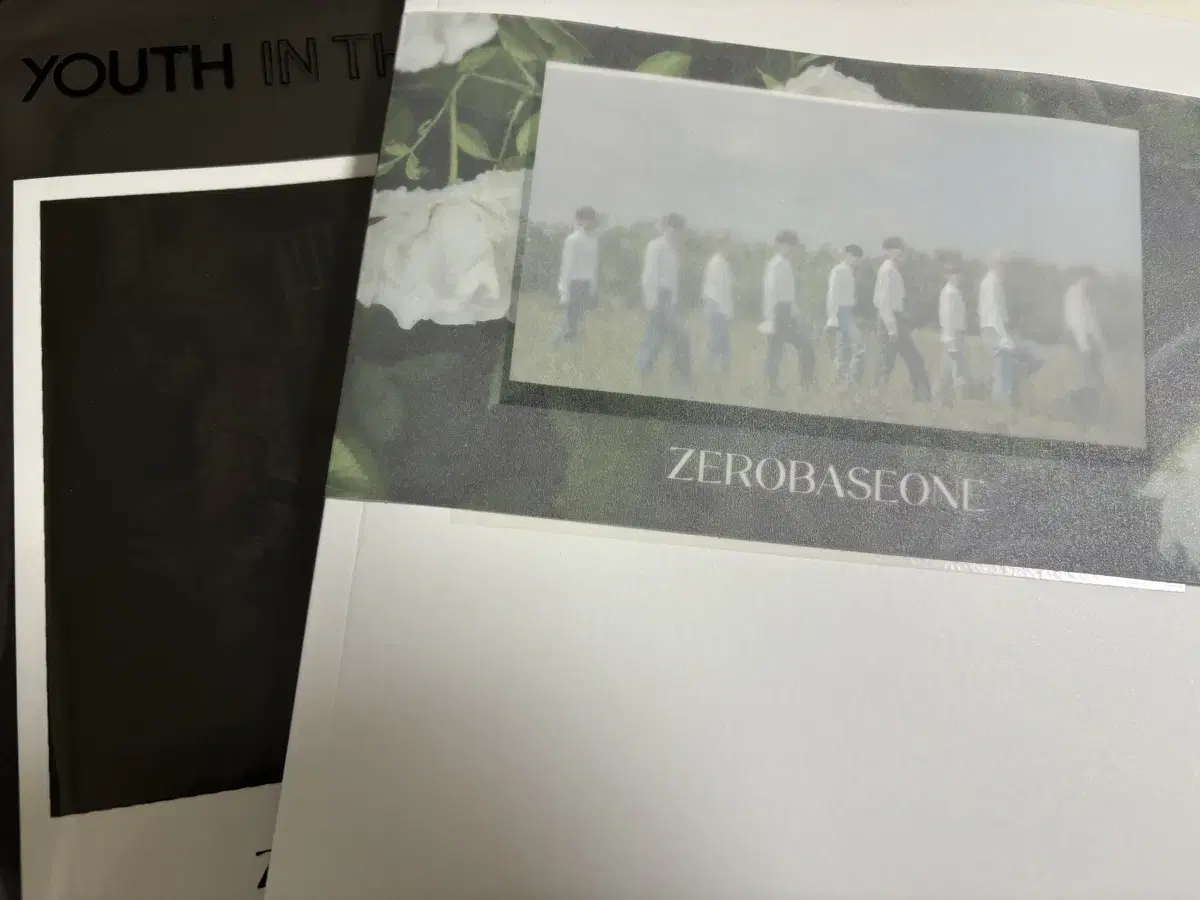 Bulk) Zerobaseone album unsealed (full components private)