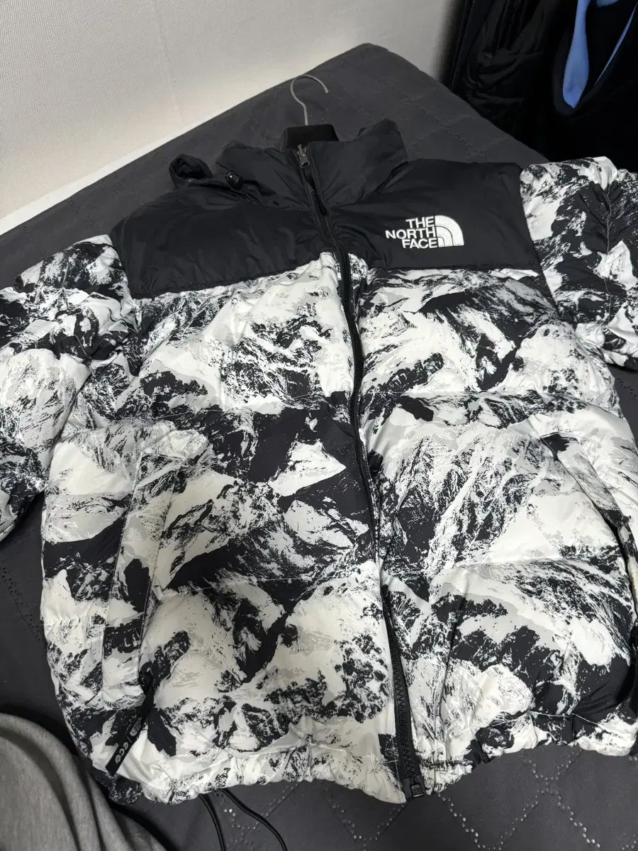 The North Face Padded Neutral Graym (Snow San)