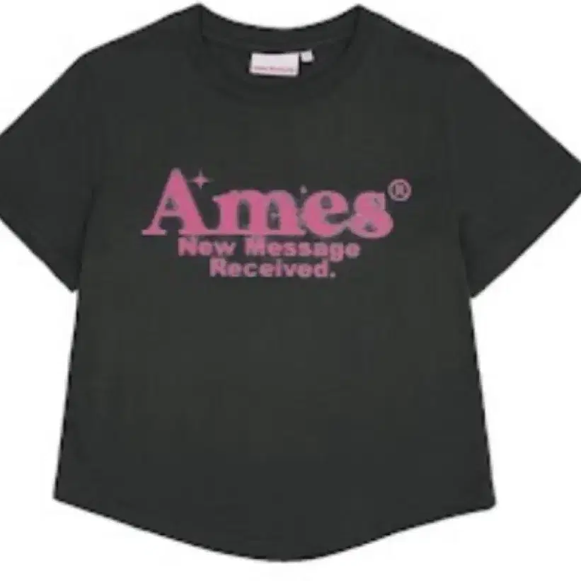 AMES ROUND HEM CROP TEE