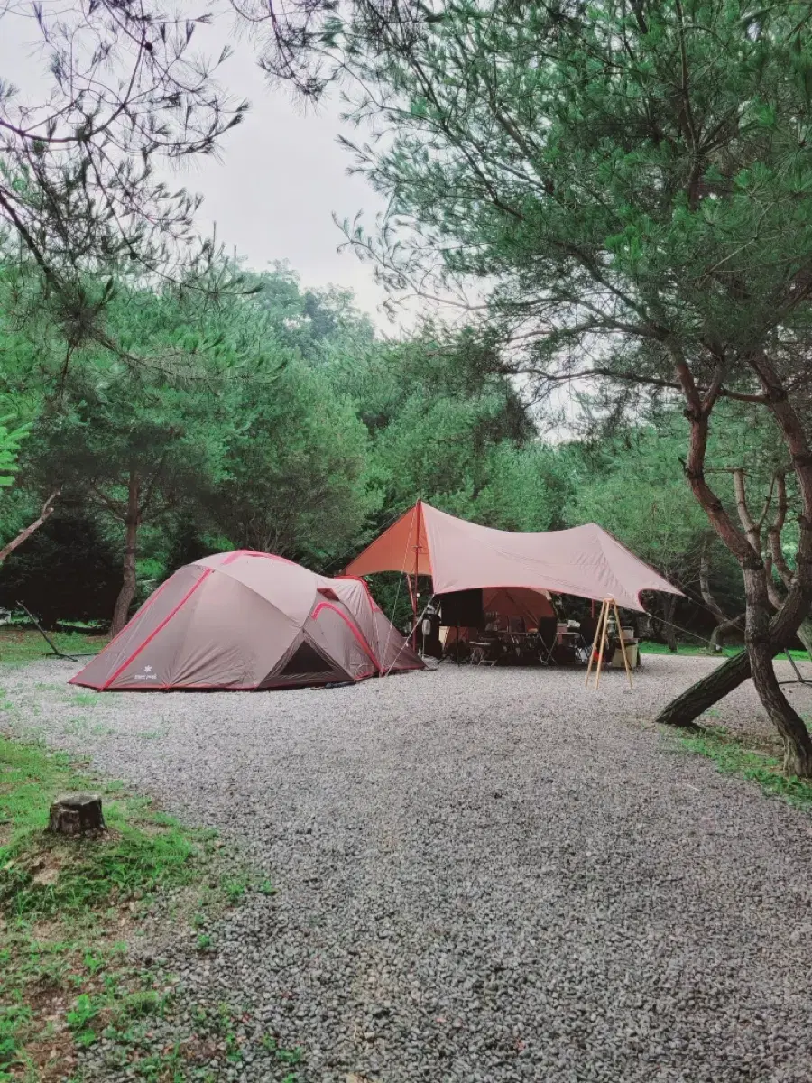 스노우피크 랜드프리즈 pro 4 & 헥사에보타프