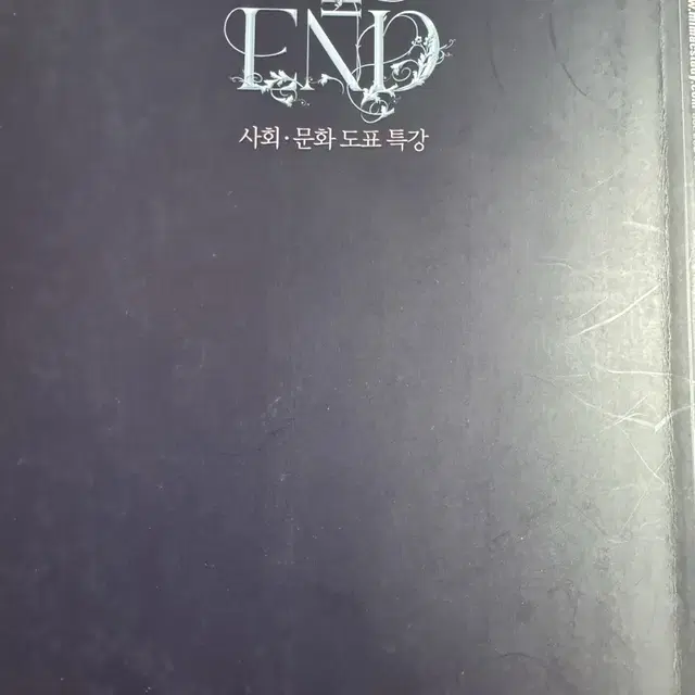 대성마이맥 임정환 도표 100end