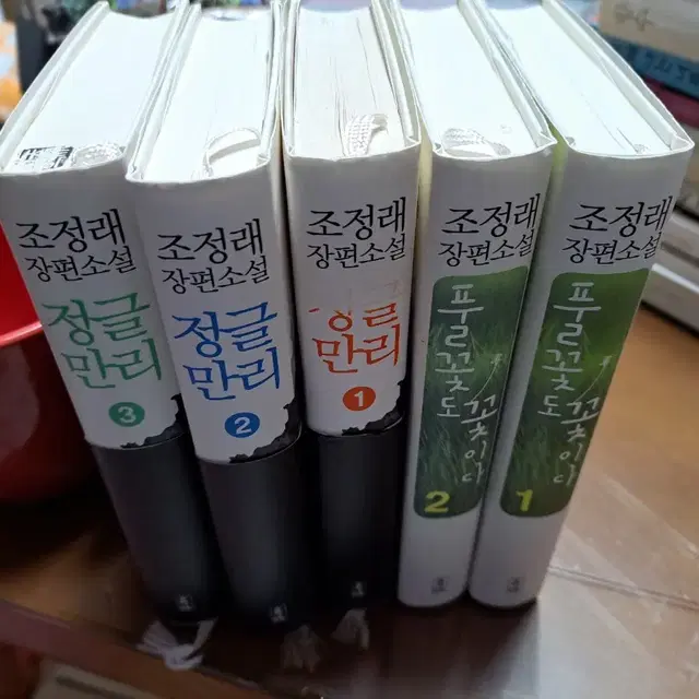 조정래 소설책 정글만리 풀꽃도 꽃이다