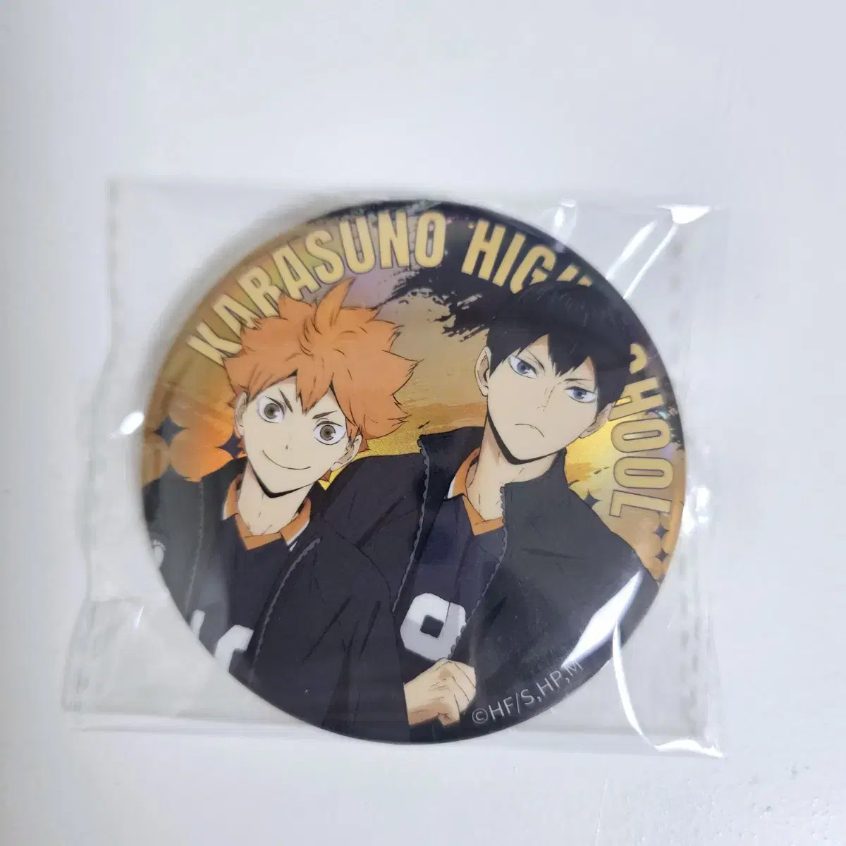 Haikyuu pop up hologram Canvassing Karasu no Kageyama Hinata