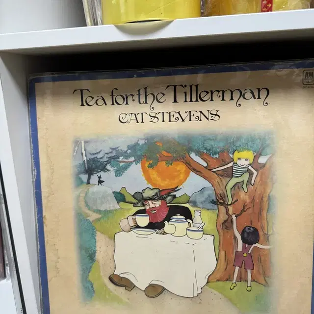 Cat Stevens 개봉 LP