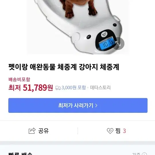 애견 강아지 체중계