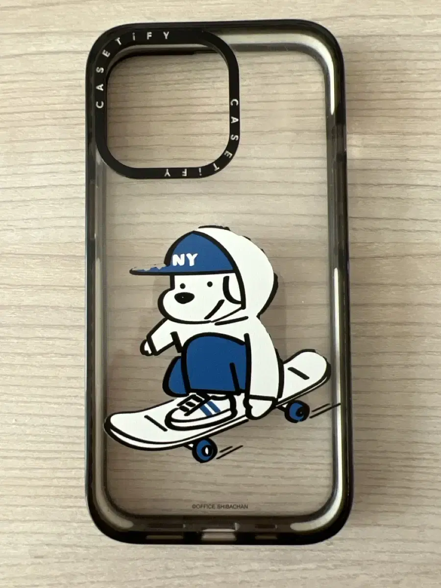 iPhone 13 Pro Casetify Case