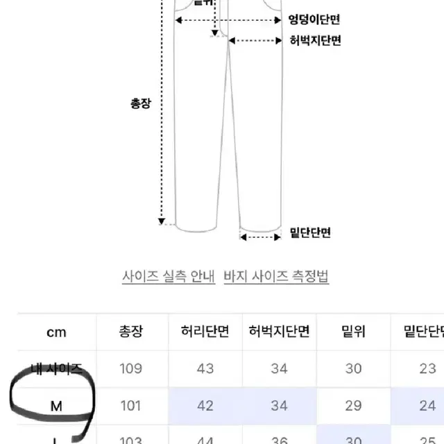 에스피오나지 워크팬츠 차콜 네이비 색상 M